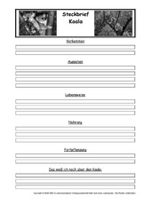 Koala-Steckbriefvorlage.pdf